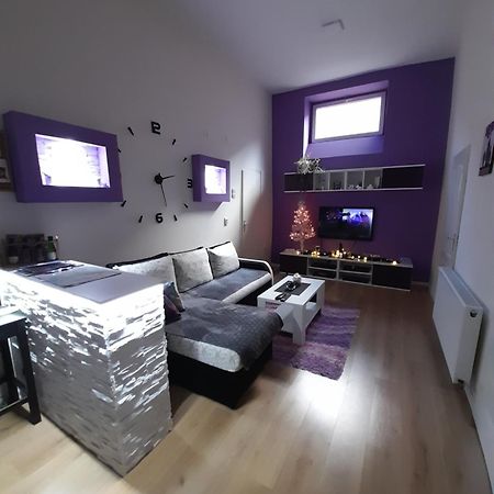 Apartman Lela Vrsac Eksteriør billede