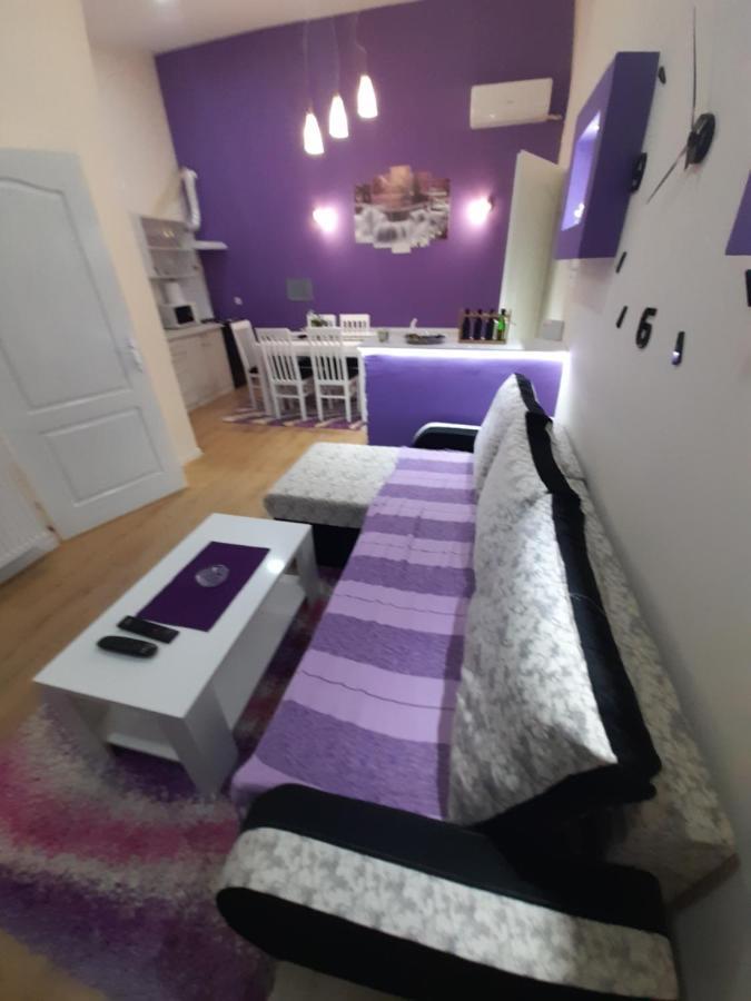 Apartman Lela Vrsac Eksteriør billede