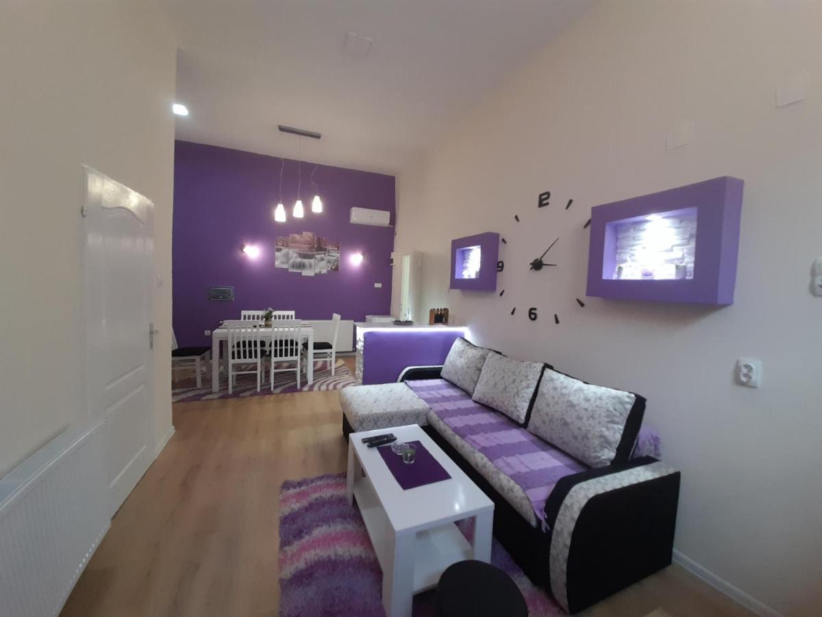 Apartman Lela Vrsac Eksteriør billede