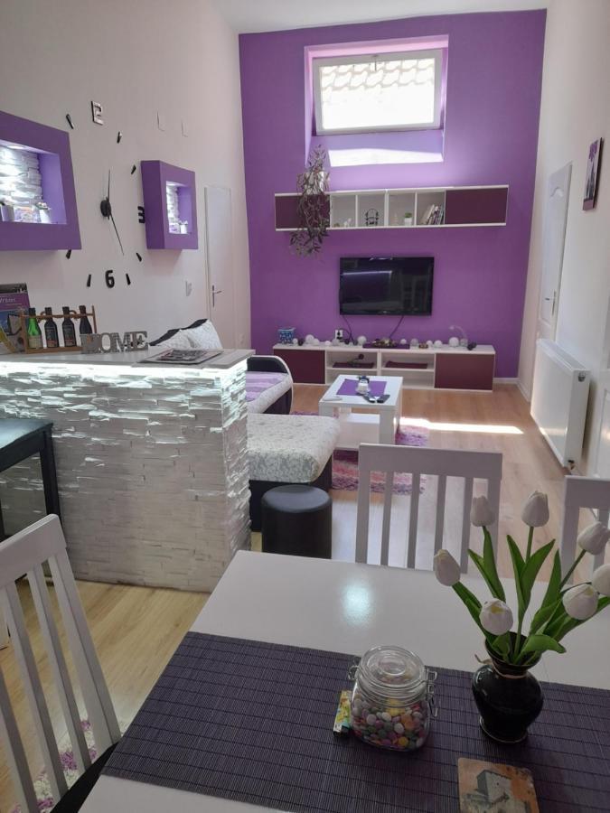 Apartman Lela Vrsac Eksteriør billede