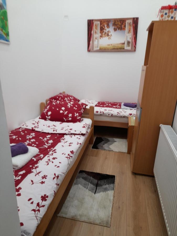 Apartman Lela Vrsac Eksteriør billede