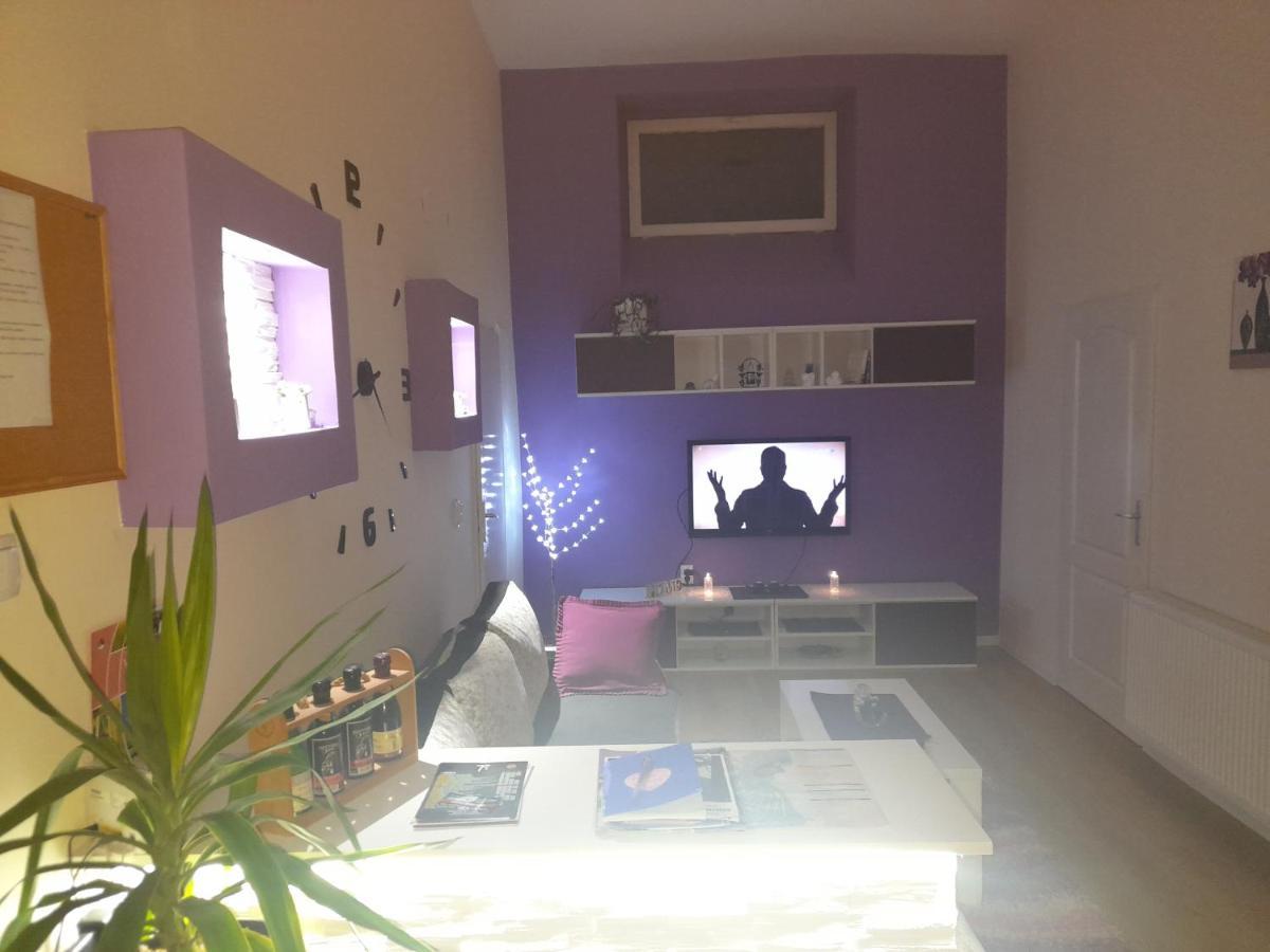 Apartman Lela Vrsac Eksteriør billede