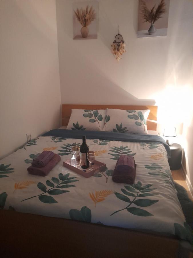 Apartman Lela Vrsac Eksteriør billede