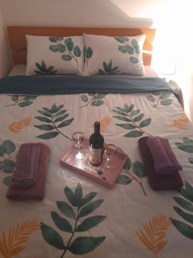 Apartman Lela Vrsac Eksteriør billede