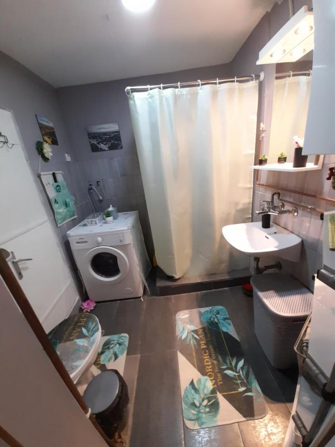 Apartman Lela Vrsac Eksteriør billede