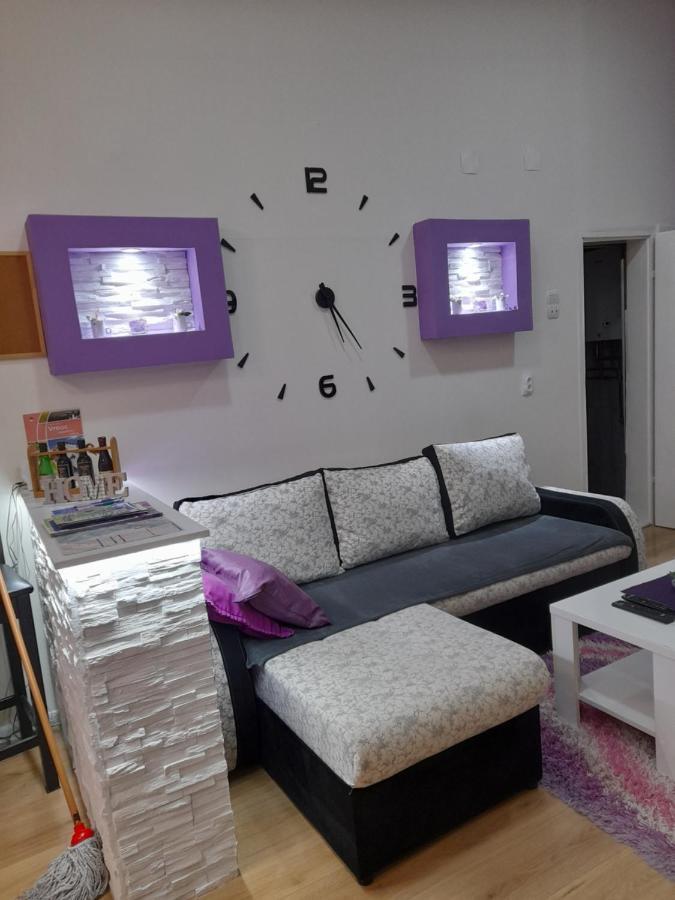 Apartman Lela Vrsac Eksteriør billede