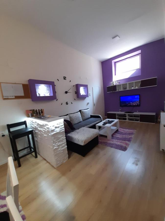 Apartman Lela Vrsac Eksteriør billede