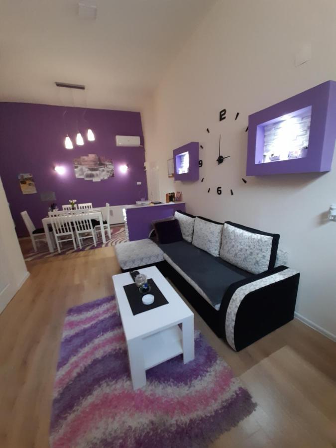 Apartman Lela Vrsac Eksteriør billede