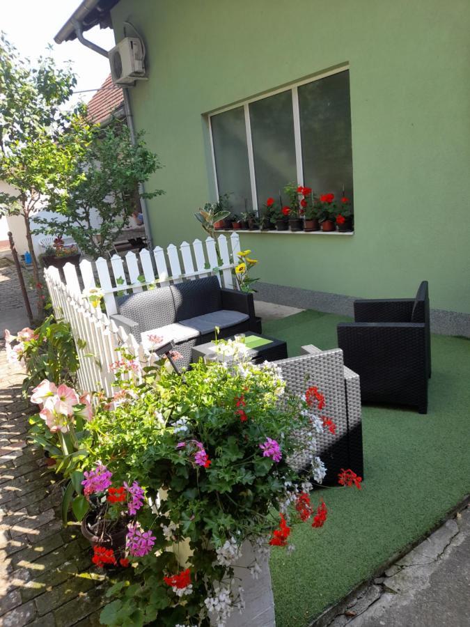Apartman Lela Vrsac Eksteriør billede